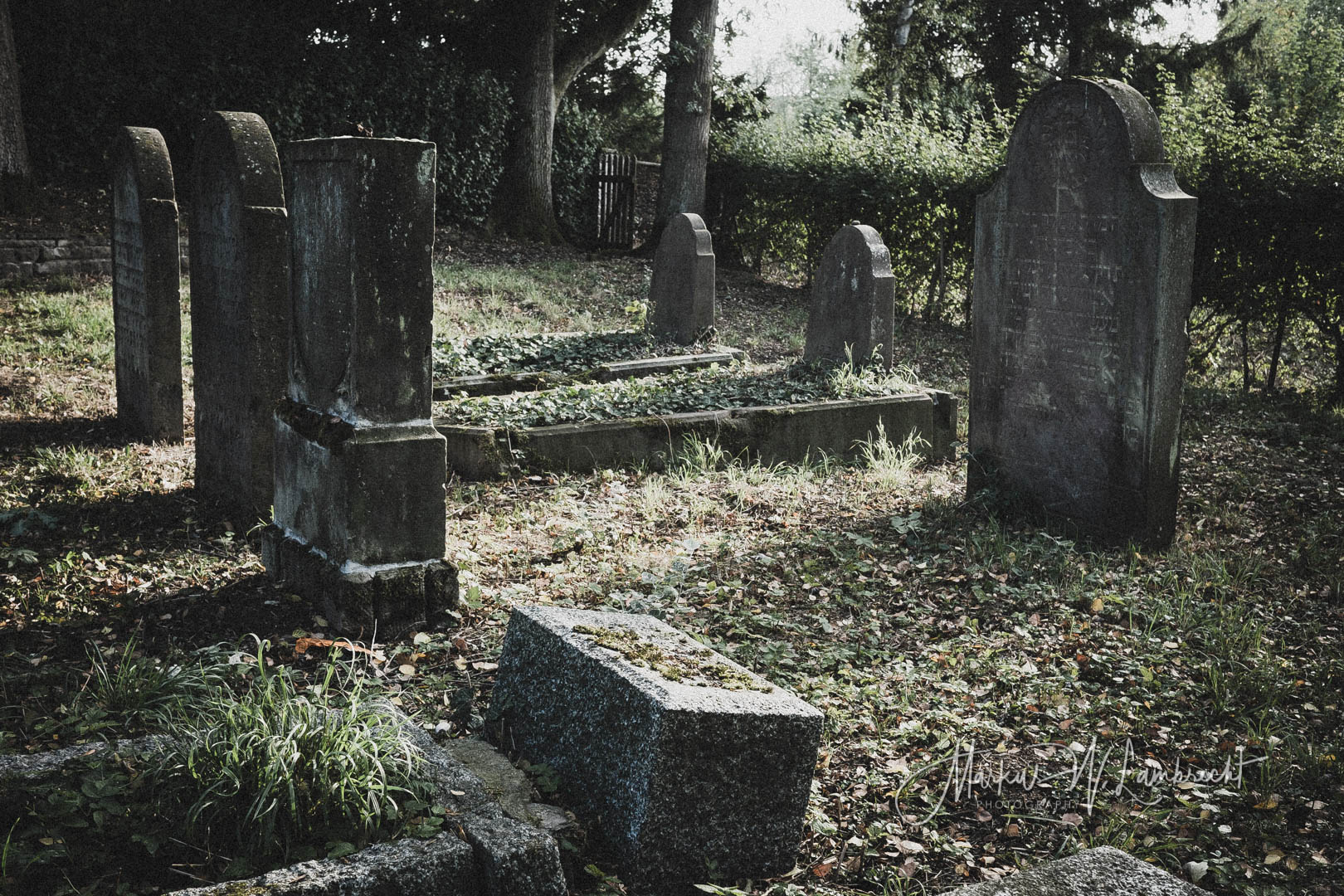 Lauenförde, Jüdischer Friedhof